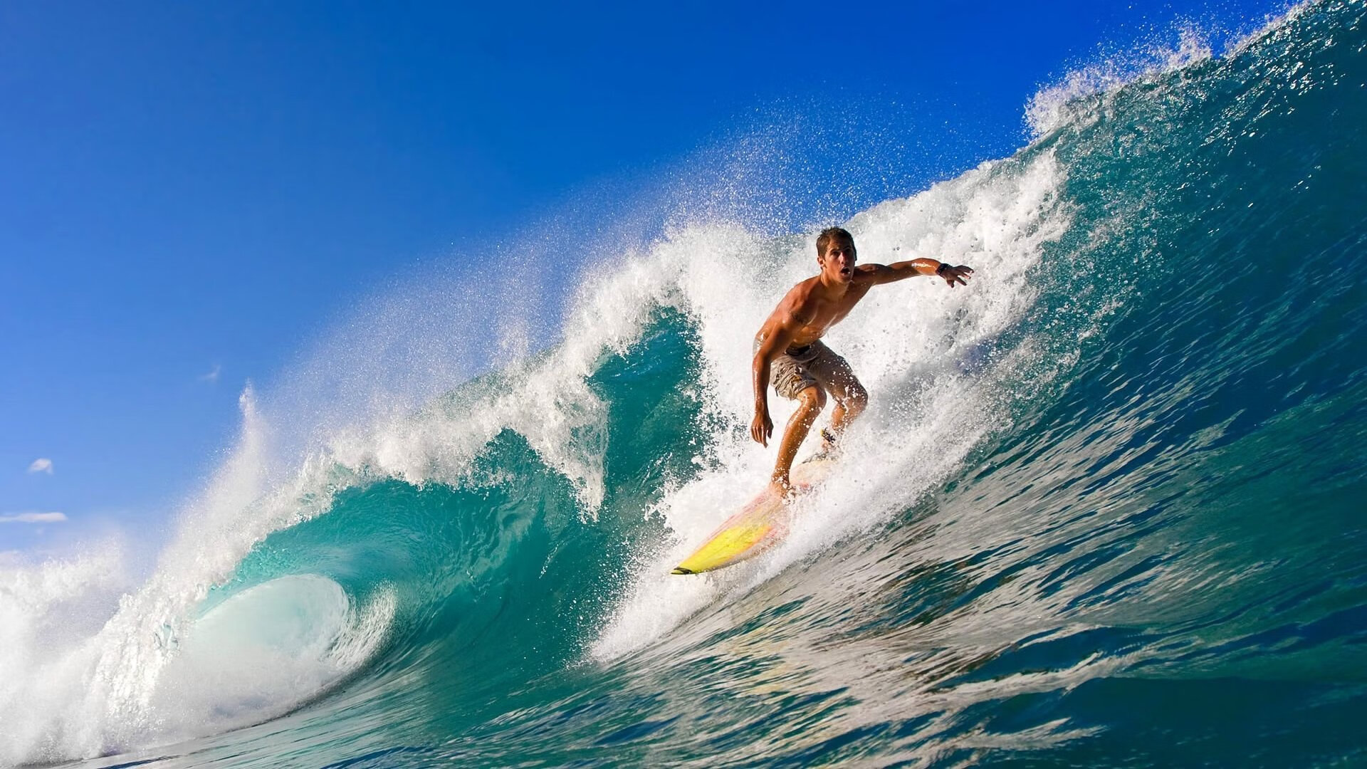 世界围棋赛冠军争夺异常激烈，世界围棋赛冠军争夺异常激烈怎么办